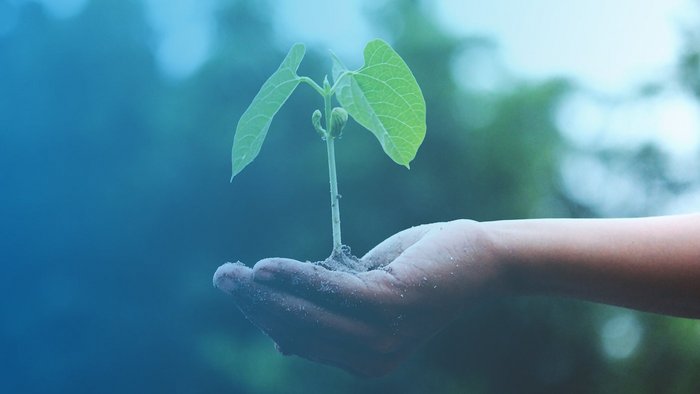 Nachhaltigkeitsbericht erstellen: 5 Tipps für den CSR-Report im Mittelstand