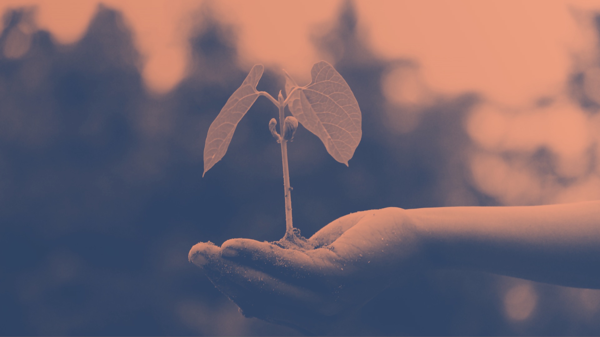 Verantwortung für Gesellschaft und Umwelt Verantwortung für Gesellschaft und Umwelt